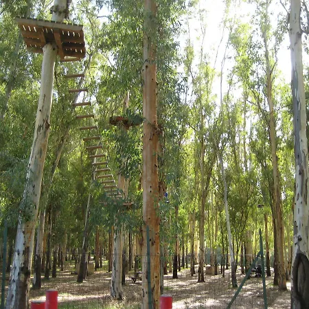 Oasi Del *