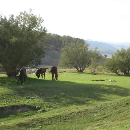 Bed & Breakfast Oasi Del *