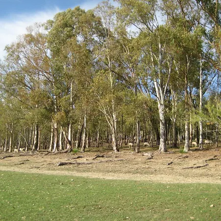 Oasi Del