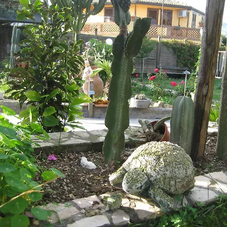 Oasi Del Bed & Breakfast *