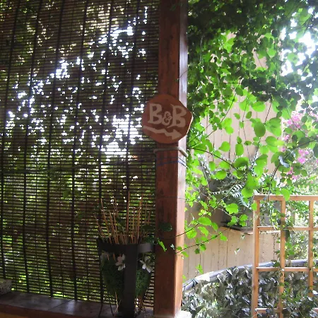 Oasi Del Bed & Breakfast *