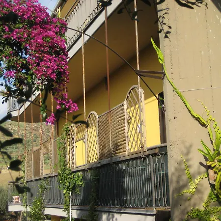 Oasi Del *
