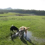 Oasi Del 4*