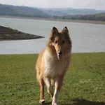 Oasi Del