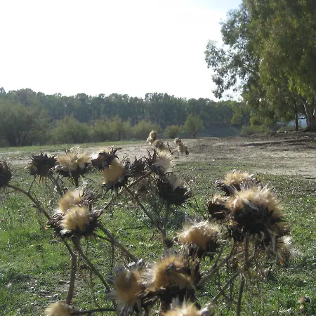 Oasi Del * Regalbuto