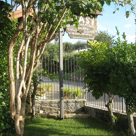 Oasi Del