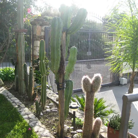 Oasi Del