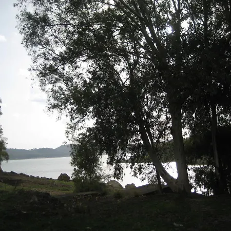 Oasi Del 4*